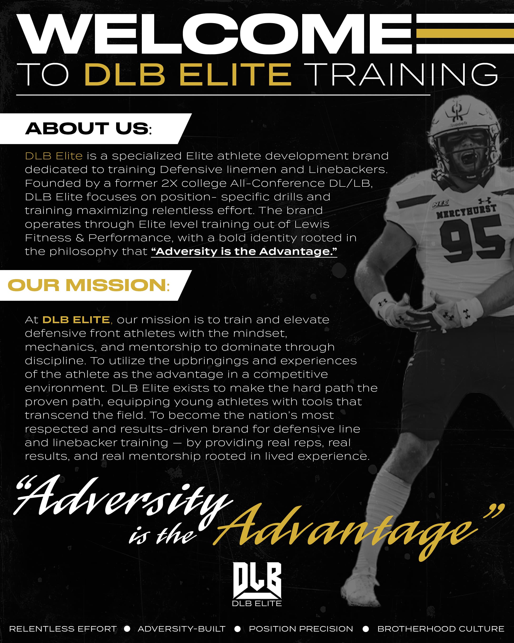 DLB Elite Training Background